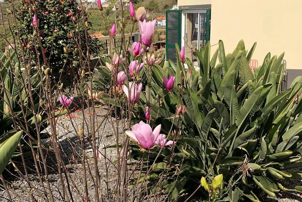 Bnb Bananatree House Arco da Calheta  0*, Arco da Calheta (Madeira)