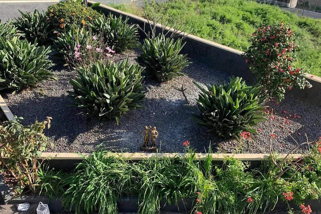 Bnb Bananatree House Arco da Calheta  Villa Arco da Calheta (Madeira)