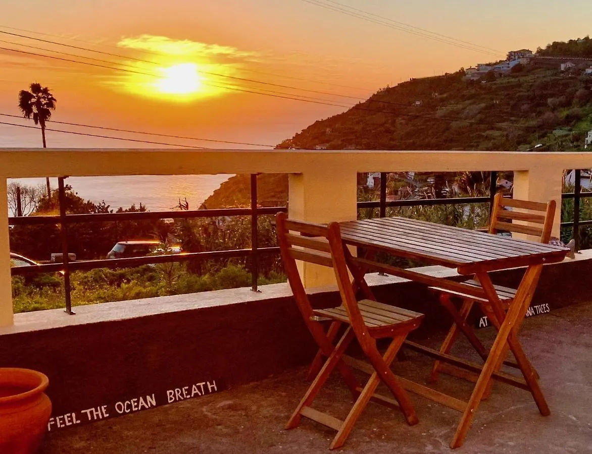 Bnb Bananatree House location