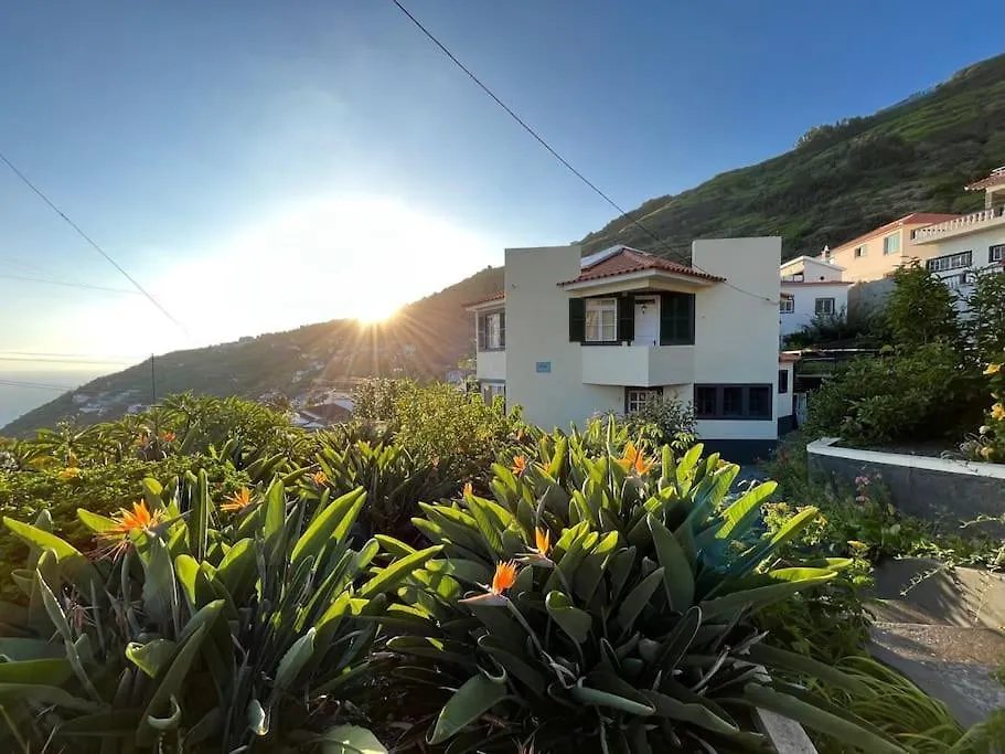 Bnb Bananatree House Arco da Calheta  Arco da Calheta (Madeira)