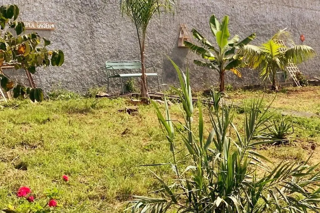 Villa Bnb Bananatree House Arco da Calheta