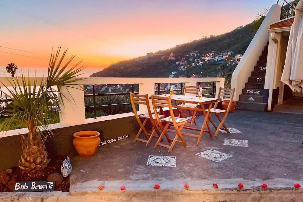 Bnb Bananatree House Arco da Calheta  Villa